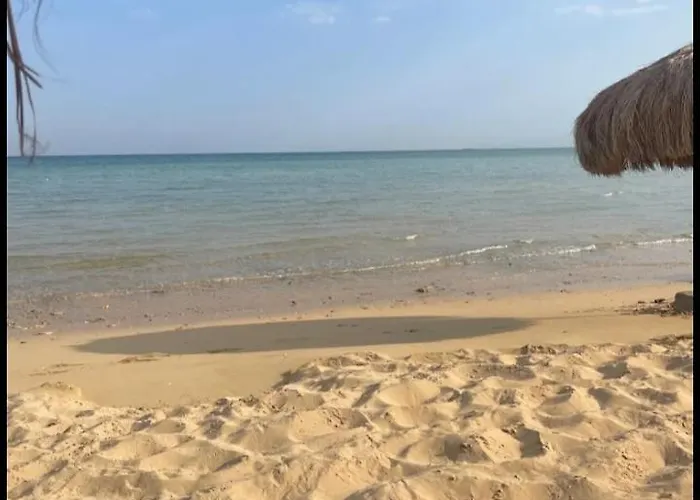 بحديقة *